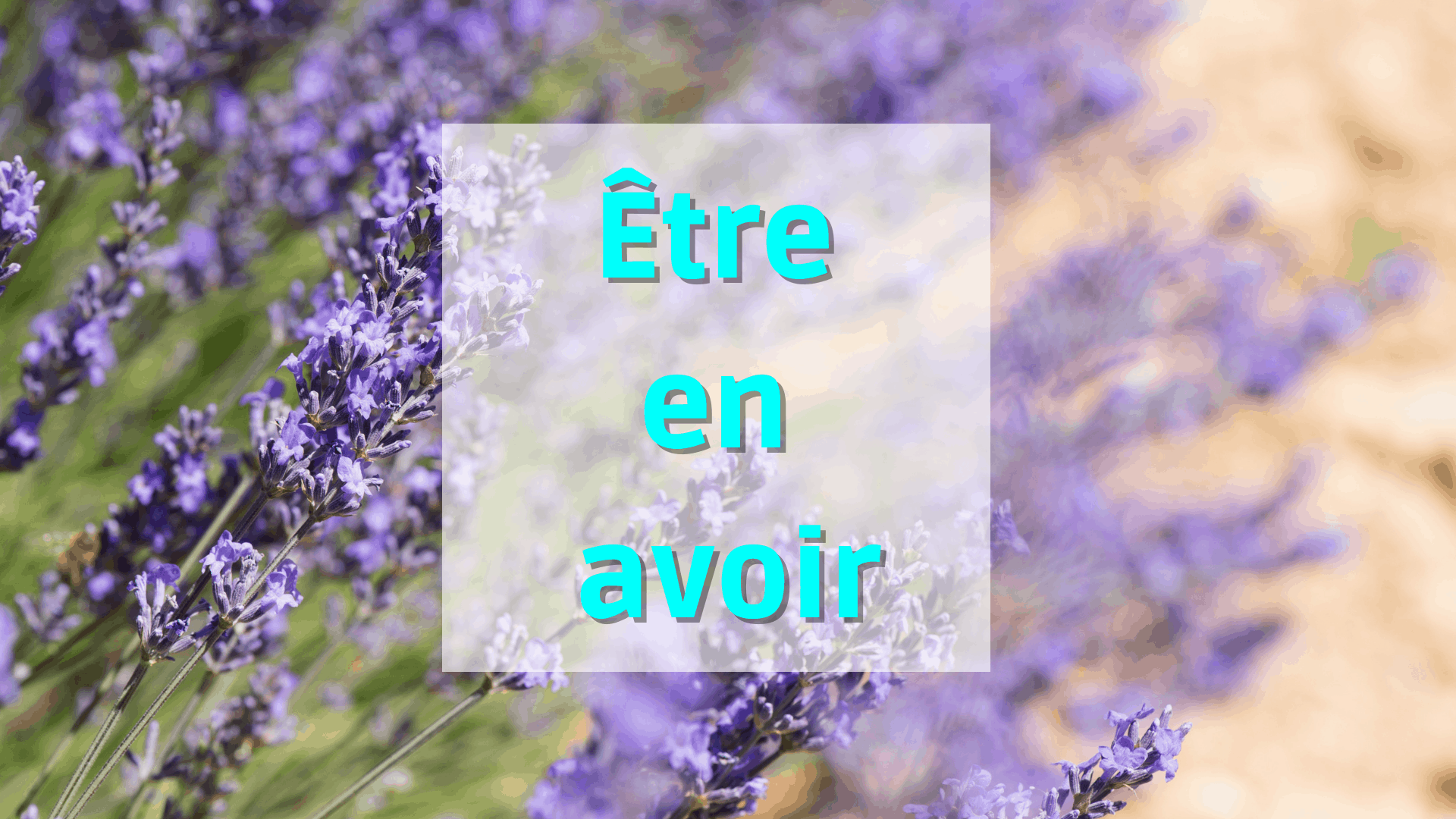 Etre En Avoir