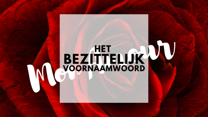 Het Bezittelijk Voornaamwoord