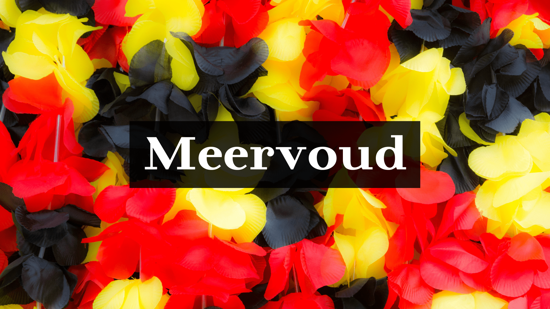 Meervoud
