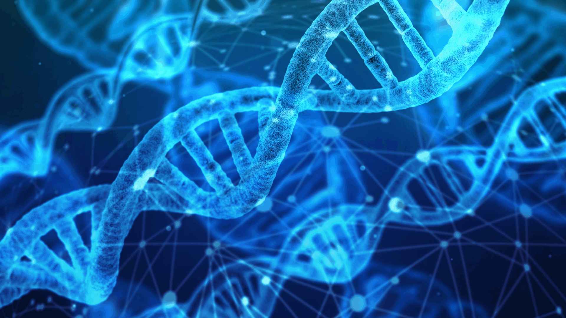 Wat Is Dna