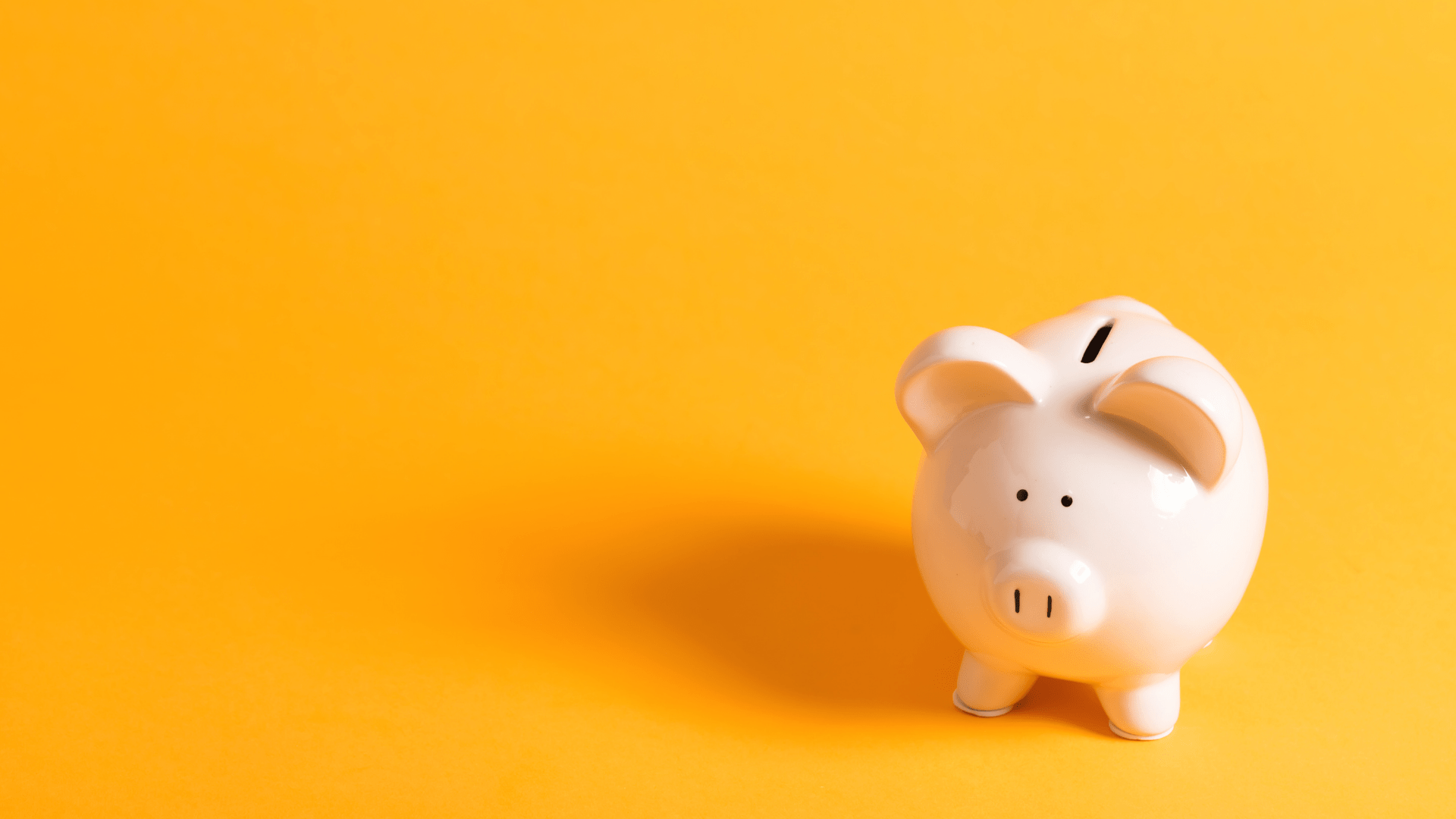 eindexamen economie op het vwo
