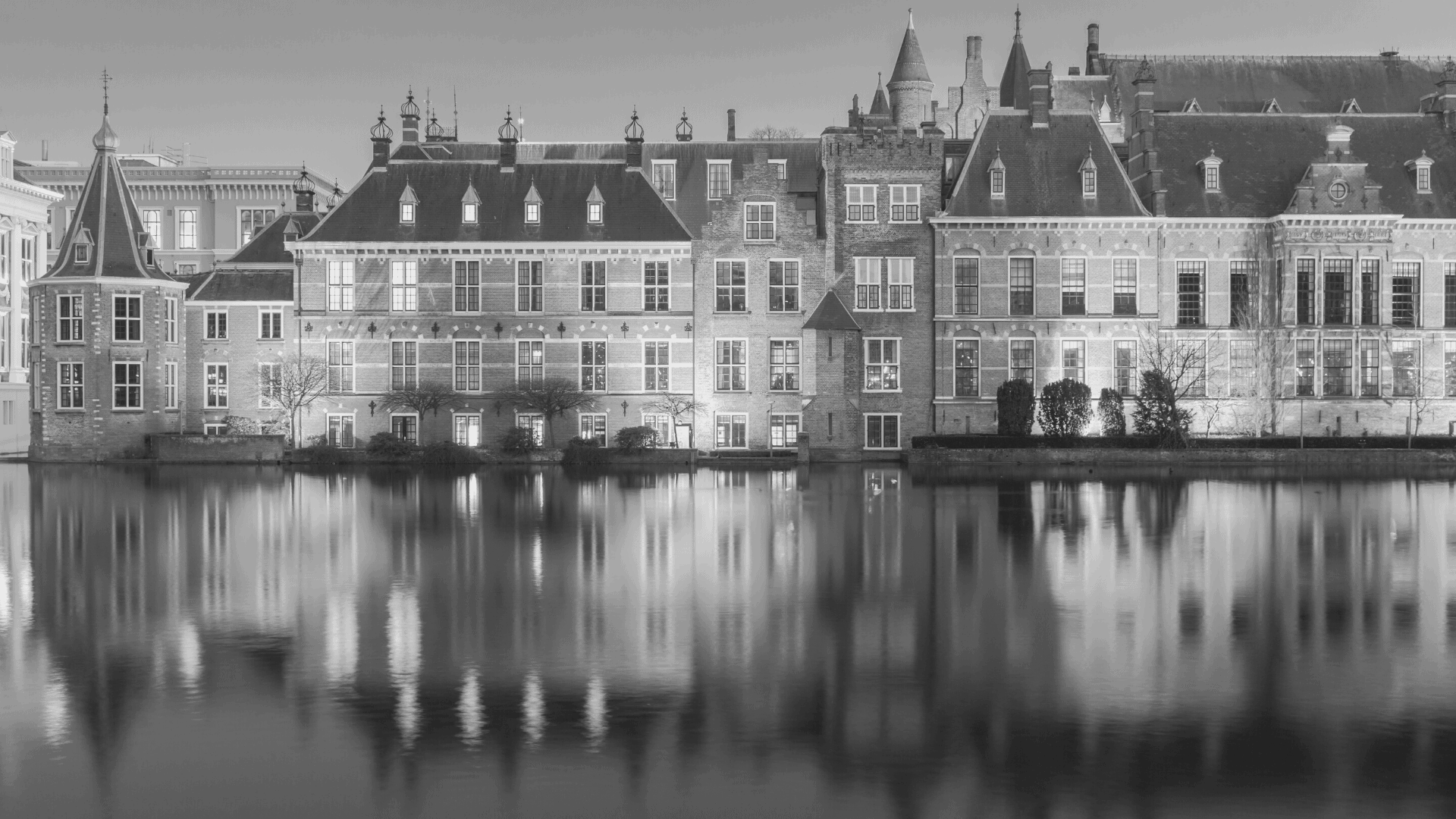 emancipatiebewegingen en nieuwe politiek maatschappelijke stromingen in nederland
