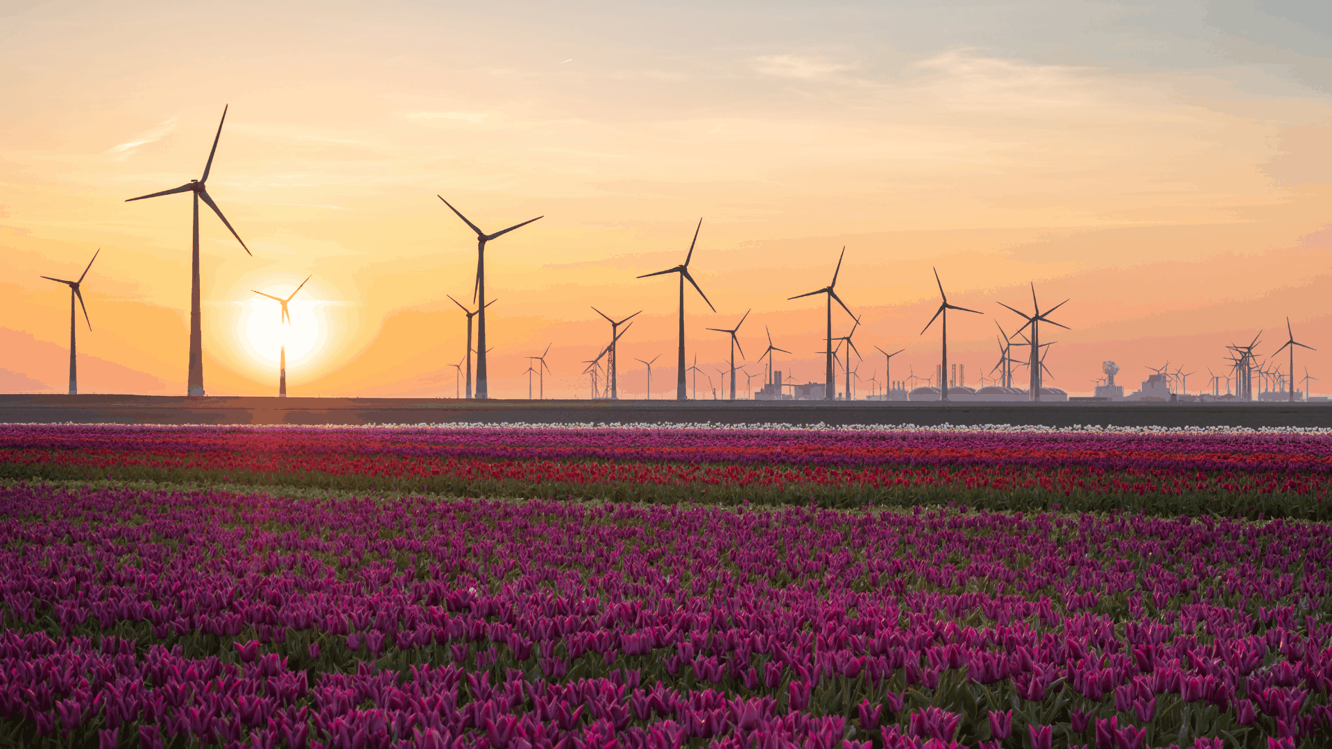 het klimaat in nederland