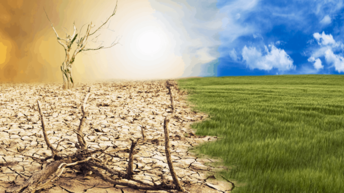 klimaatverandering