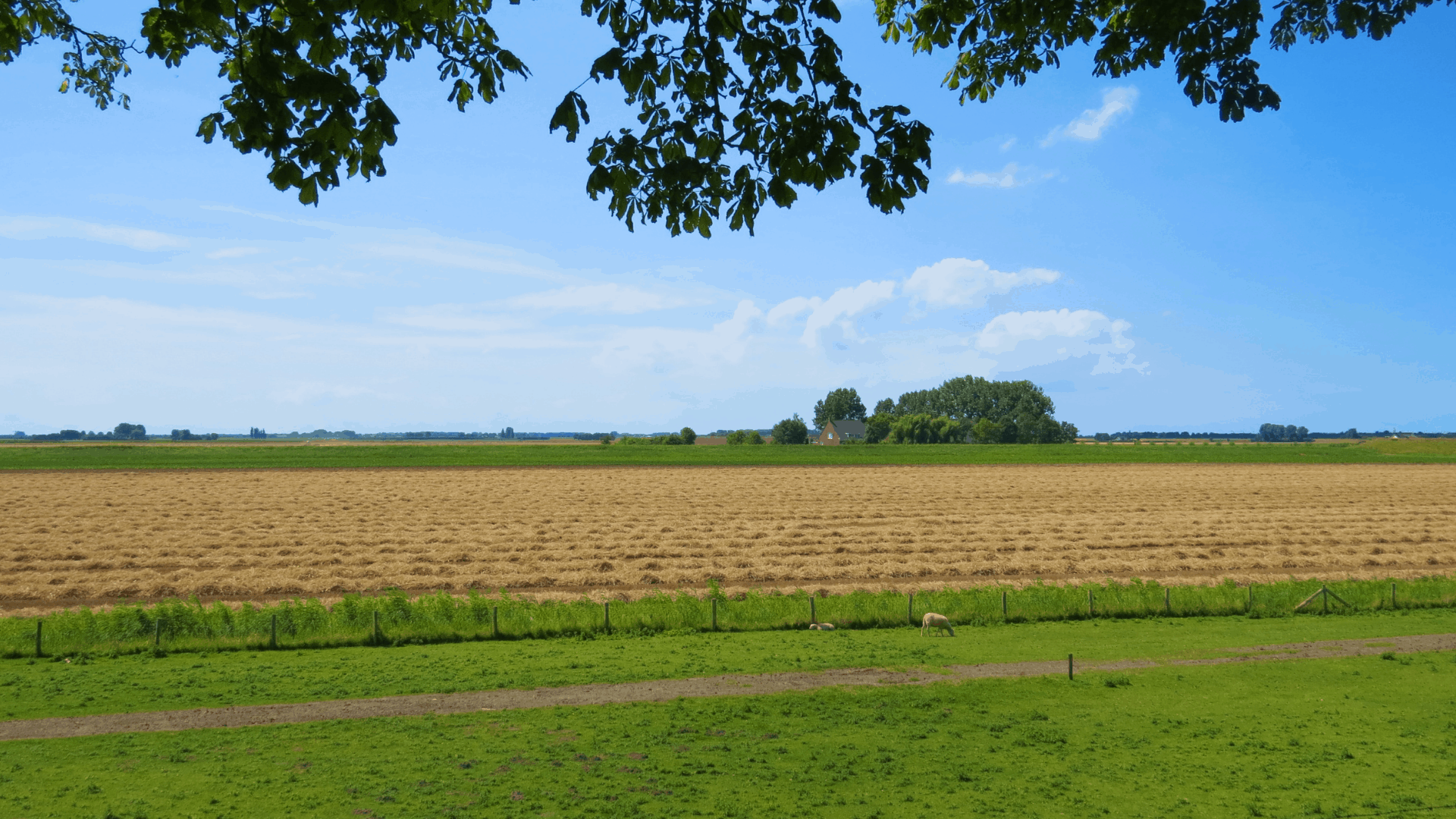 polders