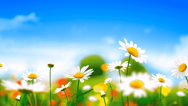 lente min